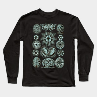 Ernst Haeckel  Ascidiae Sea Squirts Teal Chamoise Long Sleeve T-Shirt